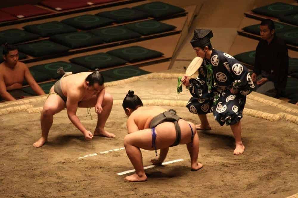 sumo wrestling tournament  tokyo bucket list experience
