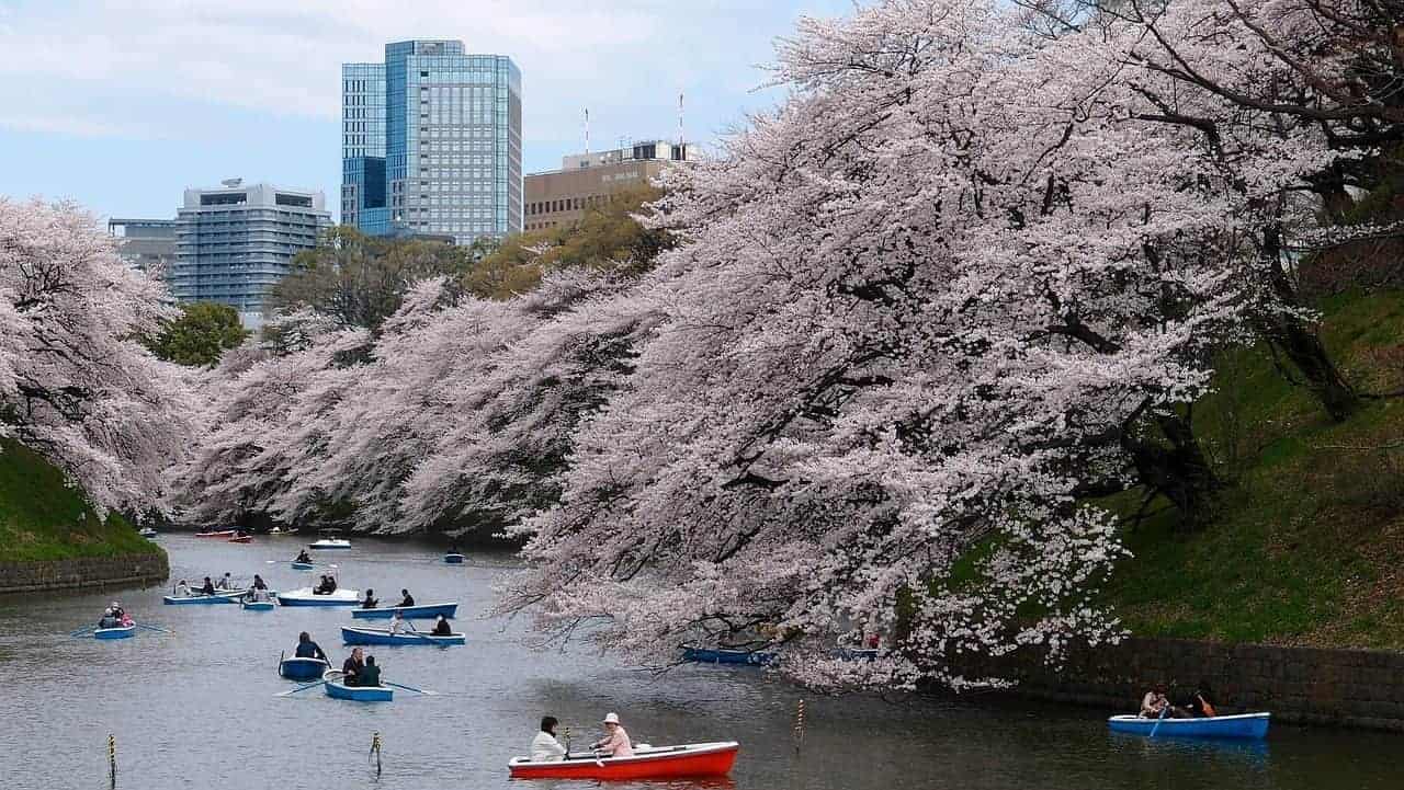 Imperial palace Tokyo 4 days in Tokyo itinerary 