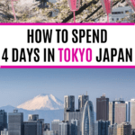 4 perfect days in Tokyo itinerary