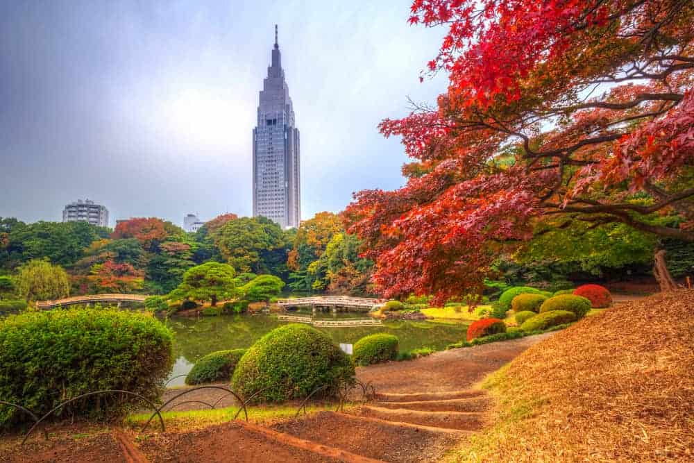 Tokyo in the fall